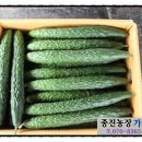 종진농장 네이버블로그