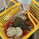 페르가모 비대면 호텔 | 영덕 연화문호텔 | 오션뷰•히노끼탕•조식까지 완벽! (짝꿍이 생일기념 여행)