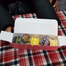 고자매 마카롱 이미지