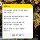 플필 플러스 멤버쉽 - 배우 프로필 자동 투어 서비스