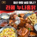 일산 호수공원 야장 맛집 [누나홀닭] 후기 | 라페스타 치킨 | 야장 술 한잔