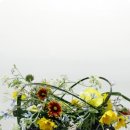 화비꽃방 이미지