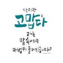 내가 더 이미지