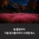 수피아동물병원 | 가산수피아 정원 산책로 후기