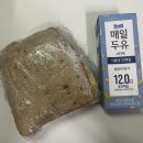 트레이더스87