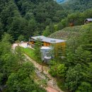 웰니스9 이미지