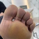 건지솔루션 이미지