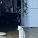 #25 온,전한 휴식