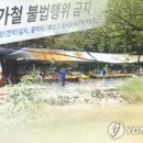 야영장 진출입로 경향신문