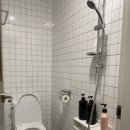 나무들의 수다 이미지