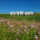 중랑천변 선형공원 이미지