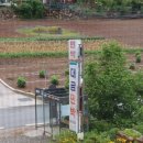 대금민박 이미지