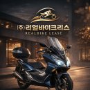 돈리스
