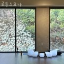 동교로52길 16 | 연남동요가 로투스요가 추천 위치 정보