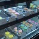 더마카롱 이미지