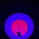 아르떼 (arte) 이미지