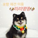 리리댕댕 이미지