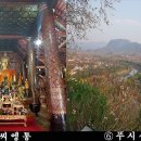 불타여행사 이미지