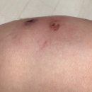 비소(장군)-호-5 | [📒 세번째_2026.03] 3월의 일상 기록 다이어리 🐫