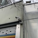 메이저치과기공소 이미지