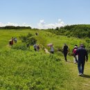 발해목장 이미지