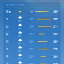 신비세탁 이미지