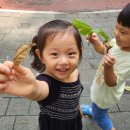 하은어린이집 이미지