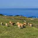 바다 그리고 이미지