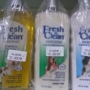 이레네 강아지 이미지