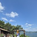 자연미힐링센타 | 보령 죽도 상화원 서해의 낙원 한국식 전통정원 시원한 산책