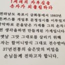갓돈까스 이미지