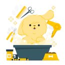 미용하는 퍼피마미 | [애견미용 세미나] 당신은 애견미용사인가요? -1-