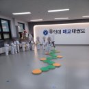 용인대 꿈나무태권도장 | 매교 태권도 용인대매교태권도장 마음에 쏙 드는 상담후기