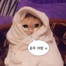 종합터미널 버스정류장(685) | 나같경. 첫 백패킹은 우도 비양도로 감.