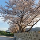 삼천포대교로888 이미지