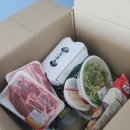 돌고래 펜션 이미지