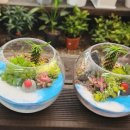 영인원예 이미지