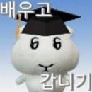 제주차농