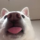 24시 라인동물의료센터 이미지