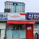 3박4일 전남여행 | 진도,장흥,완도,해남을 두루 여행한 휴가 일정, 2인 여행 비용