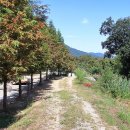 가루실 캠프 이미지