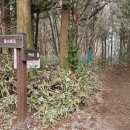 한라산 제2농장 이미지