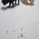 쌀이네 | 강아지 쌀과자 추천🐶 내돈내산 개뻥 간식! 다섯 마리 실제 급여 후기