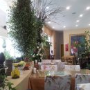 피나클랜드 이미지