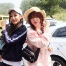예인정보