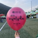 해남미남축제 2일차 가수, 홍자, 행사 (11월축제, 여행지 추천)