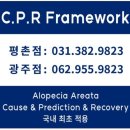 탈모가이드광주점