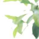 평촌교통 이미지