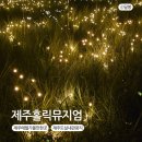 푸드홀릭 - 서산시 | 제주애월가볼만한곳 사진 찍기 좋은 체험형 전시 제주홀릭뮤지엄 후기