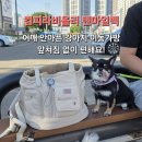 텐마일
